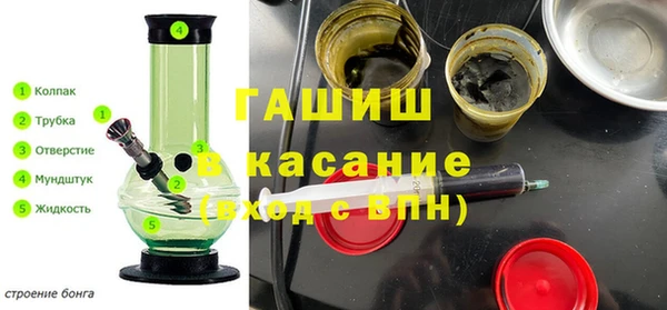 гидра Пересвет