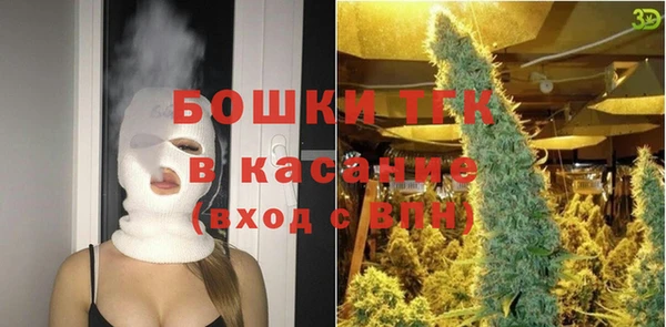 гидра Пересвет
