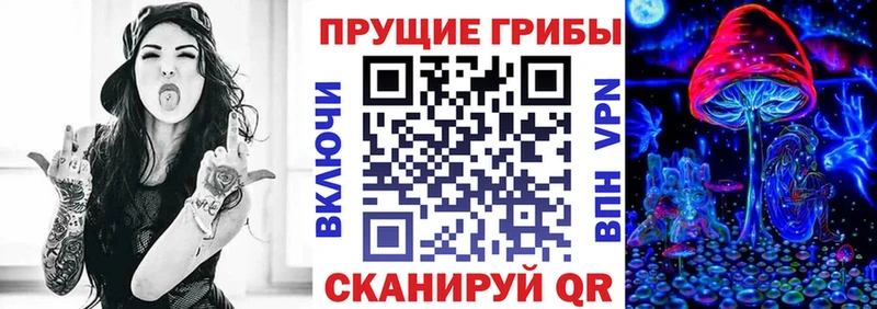 Псилоцибиновые грибы Magic Shrooms  где можно купить наркотик  Светогорск 